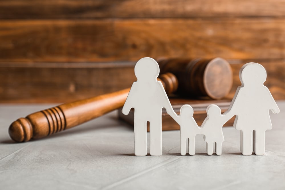 What Makes a Good Family Lawyer